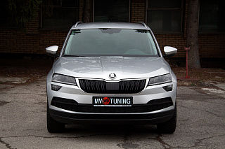 Зимний экран Skoda Karoq (2017-2021) нижний (текстурный пластик)